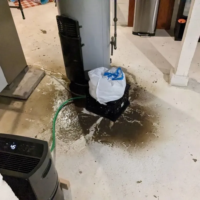 Sewage Backup Cleanup Service in Holt, AL